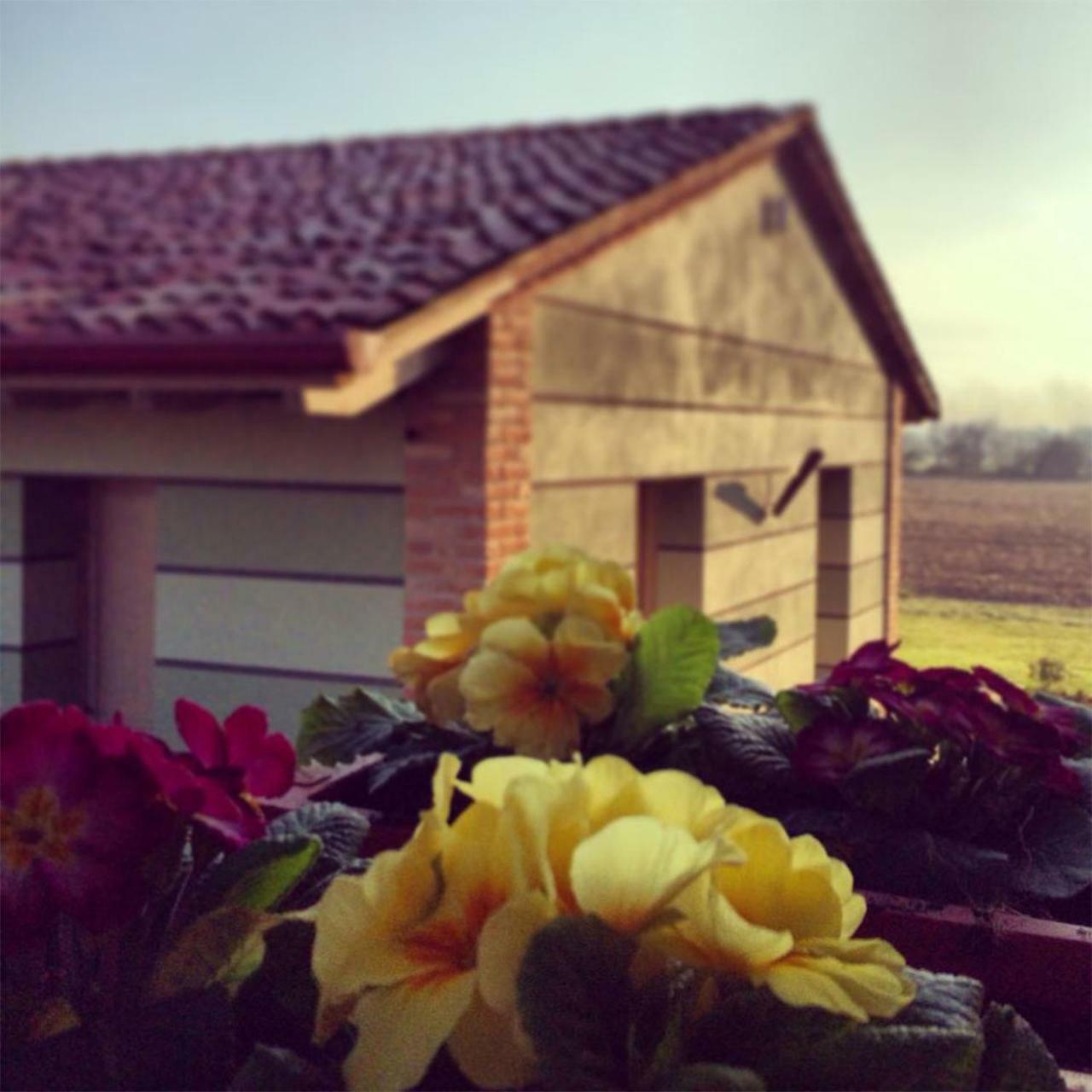 Agriturismo Bassanine Monticelli dʼOngina Eksteriør billede