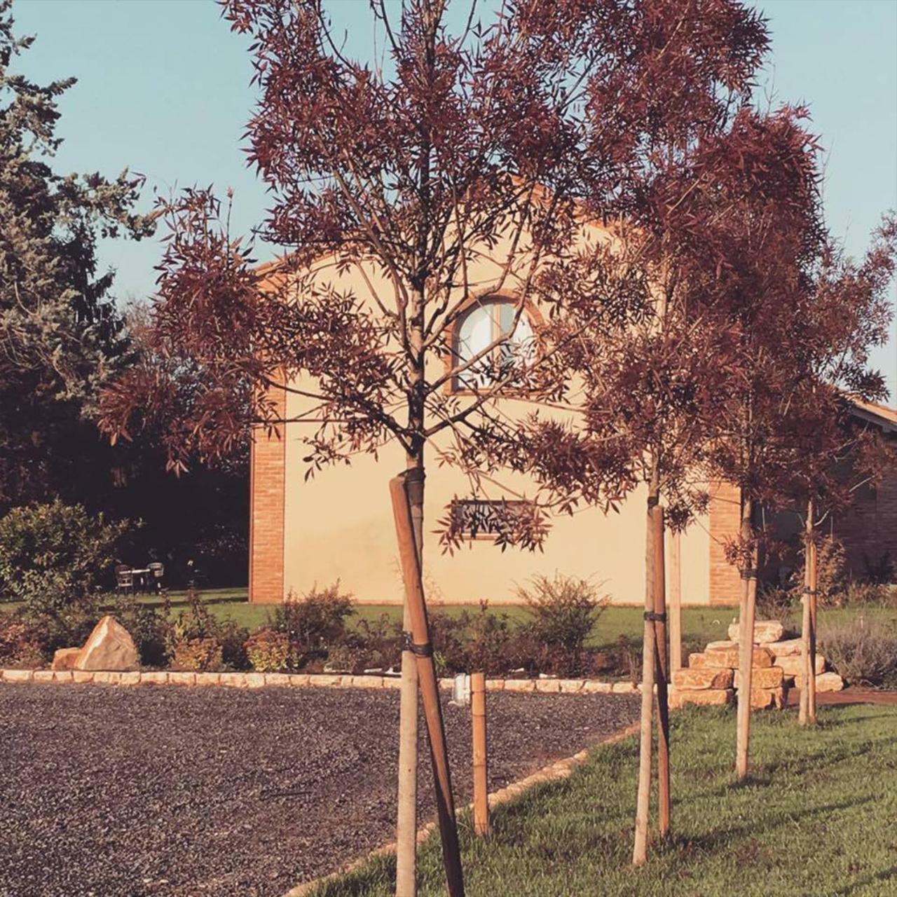 Agriturismo Bassanine Monticelli dʼOngina Eksteriør billede